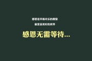 世界举重联赛：训练量化与恢复监测并行提高成绩稳定性，世界举重比赛现场视频