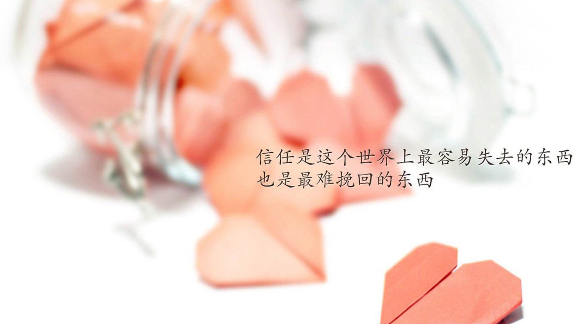 世界帆船赛事气象监测数据服务商排名公布，帆船比赛世界排名